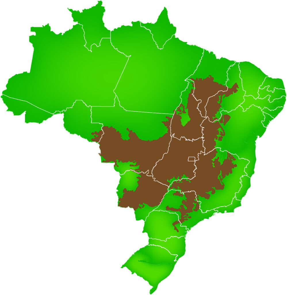 Mapa Acervo De Imagens Ciar 1897